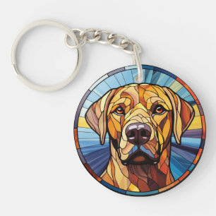 Sött glasaktigt Golden Labrador Hund