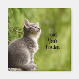 Sött grått litet kattunge magnet