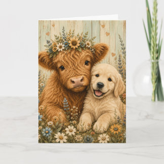 Sött höglands kalv & valp av golden retriever kort