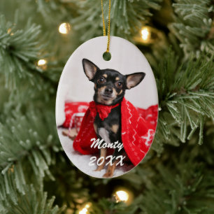 Sött Hund Djur Foto Julgransprydnad Keramik