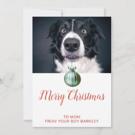 Sött Hund Foto God Jul Mamma Julkort