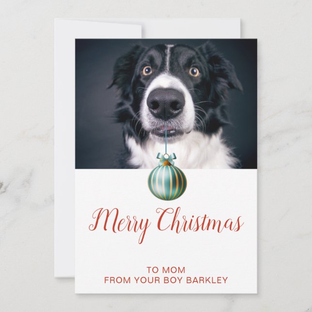 Sött Hund Foto God Jul Mamma Julkort (Framsida)