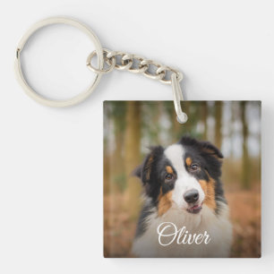 Sött Hund Foto Skript Namn Husdjur Älskare