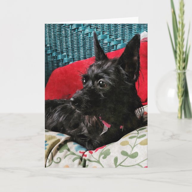 Sött Hund-hälsningskort Kort (Framsida)