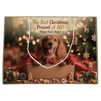 Sött hund i en julklappslåda