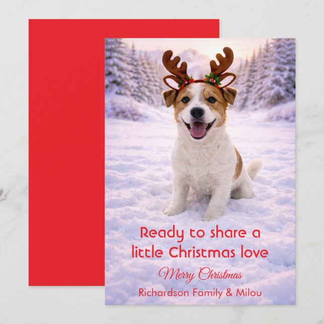 Sött hund med julcitat  Julkort (Fram/baksida)