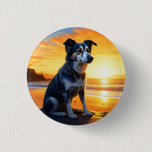 Sött Hund på Strand vid Solnedgång Knapp