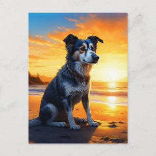 Sött Hund på Strand vid Solnedgång Säger Hej Vykort