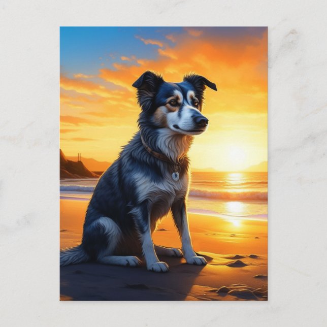 Sött Hund på Strand vid Solnedgång | Säger Hej Vykort (Framsida)