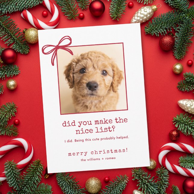 Sött Hund Roligt Foto Jul Holiday Kort (This funny Christmas card is shown in 5x7 inches. Add photo, names and choose size + corner style.)