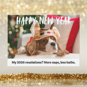 Sött Hund Roligt Husdjur Gott Nytt År Foto Julkort