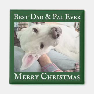 Sött Hundfoto Bästa Pappa Kompis Grön och Vit  Magnet