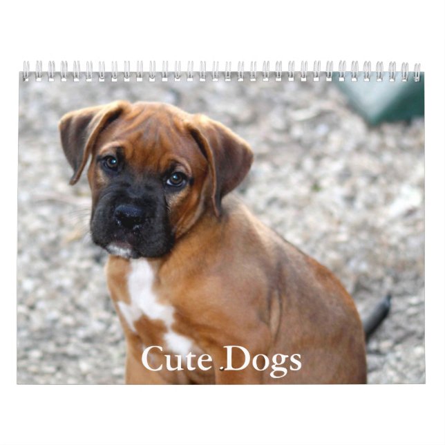 Sött Hundkalender Kalender (Omslag)