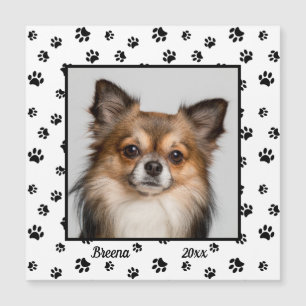 Sött Hundnamn År Foto Svarta Tassavtryck Magnet