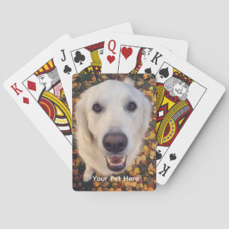 Sött hundpresent till husdjursföräldrar casinokort