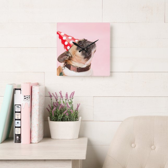 Sött Husdjur Hund Foto Fyrkantig Klocka (Läsesal)