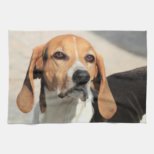 Sött husdjur hund kökshandduk (Horisontell)