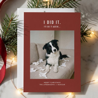 Sött husdjur Rolig hund Foto Jul Julkort
