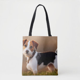 Sött Jack Russel Terrier Hund Fotograf Tygkasse