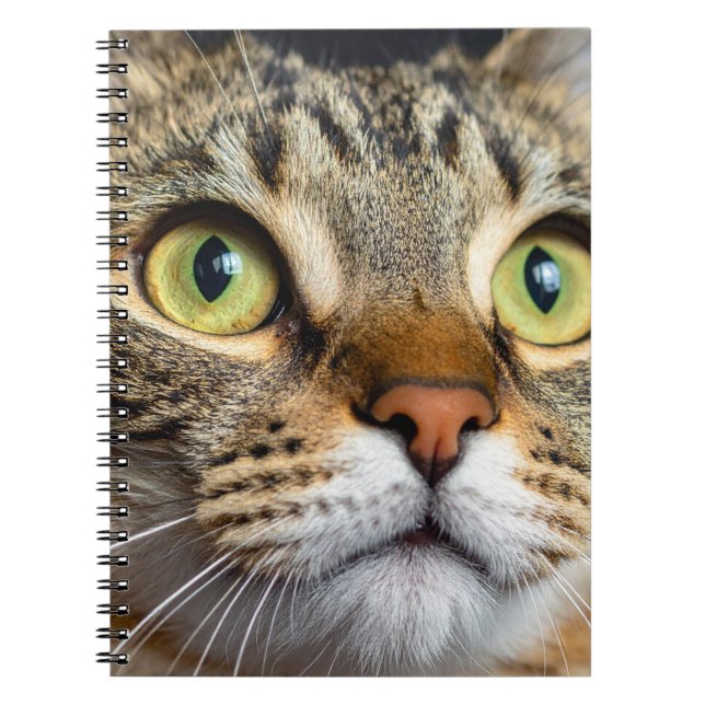 Sött katt anteckningsbok (Framsidan)