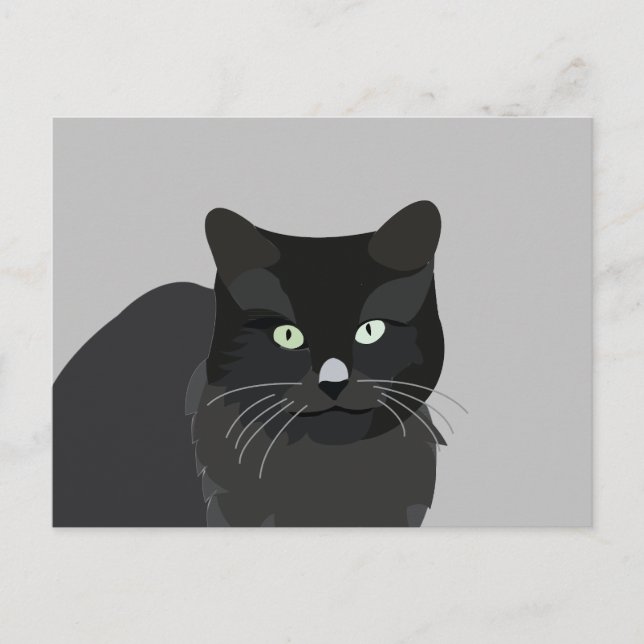 Sött Katt Husdjur Djur Vykort (Framsida)