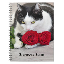 Sött katt med den röda rosen anteckningsbok