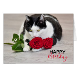 Sött katt med den röda rosen hälsningskort