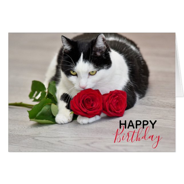 Sött katt med den röda rosen hälsningskort (Framsidan Horizontal)