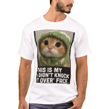 Sött Katt Meme – “Jag Ställde Inte Ner Det” 