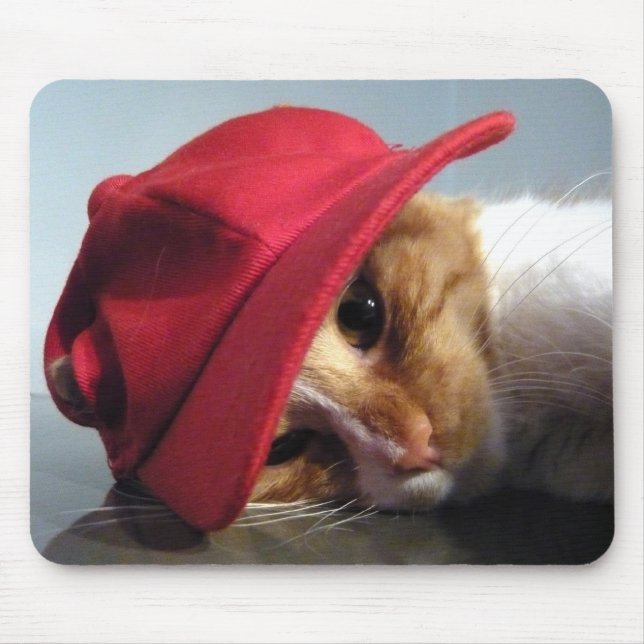 Sött katt som bär röd mössa musmatt musmatta (Framsidan)