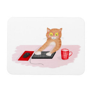 Sött katt som surfar på internet på en datormagnet magnet