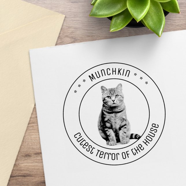 Sött Kattdjur Foto runt Stämpel (Skapare uppladdad)