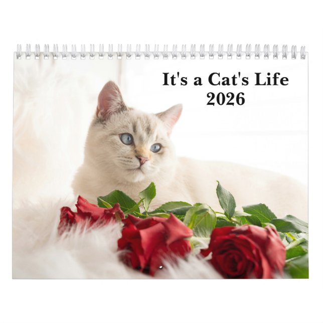 Sött kattfoto Det är en katts liv 2026  Kalender (Omslag)