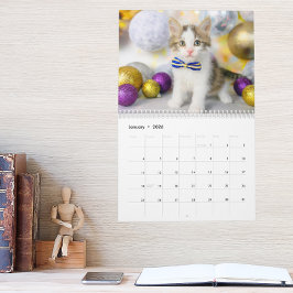Sött kattfoto Det är en katts liv 2026 Kalender