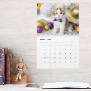 Sött kattfoto Det är en katts liv 2026 Kalender