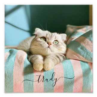 Sött Kattnamn 10x10 Foto