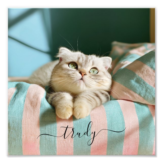 Sött Kattnamn 10x10 Foto (Framsidan)