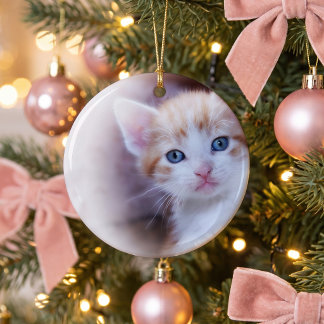 Sött Kattunge 1 Foto Julgransprydnad Keramik