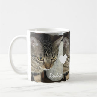 Sött Kattunge Tre Foto Hjärta Namn Husdjur Kaffemugg