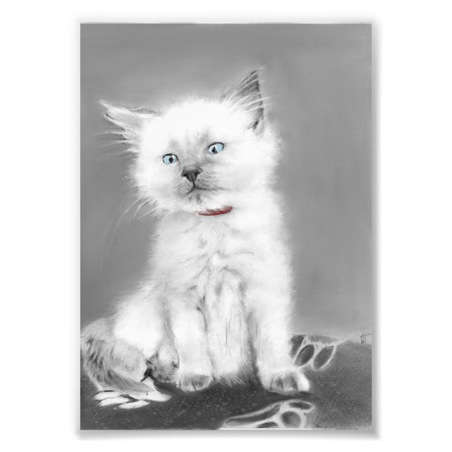 Sött kattungefoto fototryck (Framsidan)