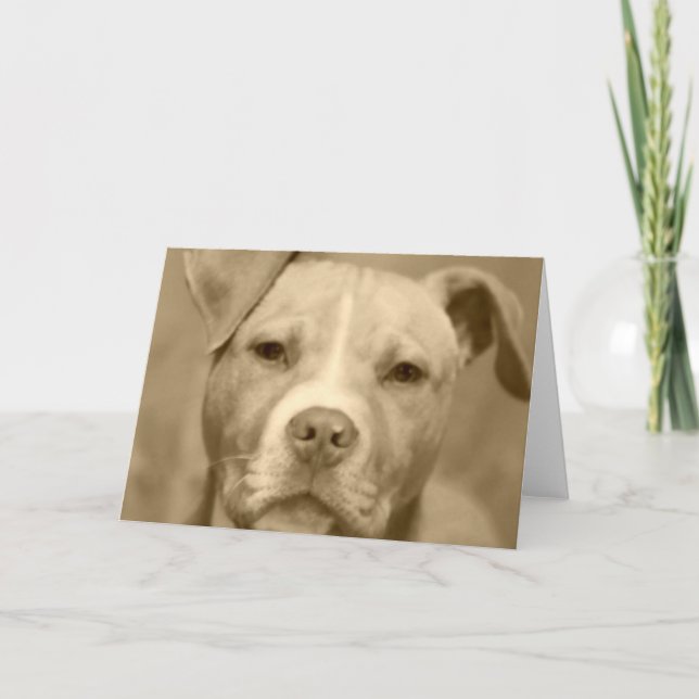 Sött kort för Staffie ansiktehälsning (Framsida)