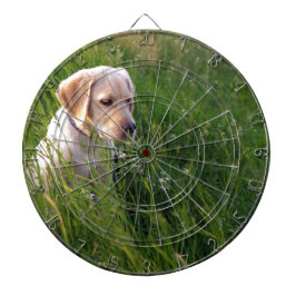 Sött Labrador-valp i gräset Darttavla