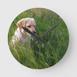 Sött Labrador-valp i gräset Rund Klocka