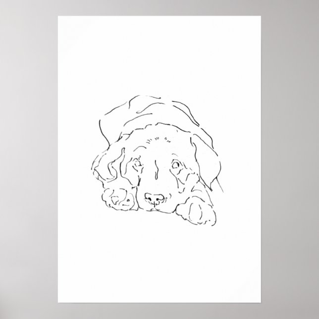 Sött Labradorshund väggkonst, affisch teckning (Framsidan)