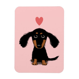Sött Långhårigt Dachshundvalp med Hjärta Magnet