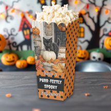 Sött lantgårdstema svart katt och pumpa Halloween