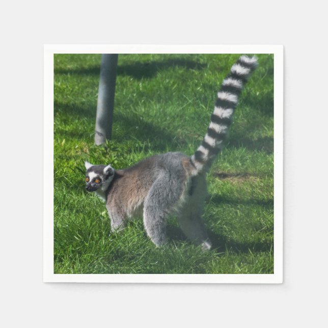 Sött lemur pappersservett (Framsidan)