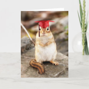 Sött lilla chipmunk Student-hälsningskort Kort
