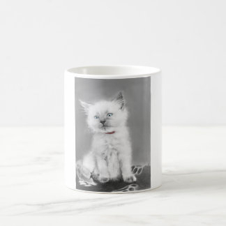 Sött litet kattmugg kaffemugg