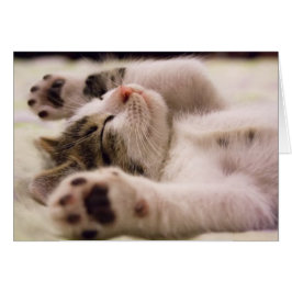 Sött litet kattunge hälsningskort